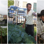 Diaspora Indonesia Sukses Bertani Di Negeri Paman Sam