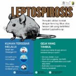 Waspada Penyakit Leptospirosis Saat Musim Penghujan