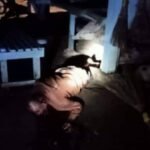 Pembunuhan Lansia Majangtengah Dampit, Korban Kondisi Stroke Ringan