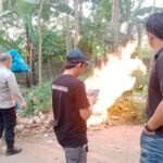 Komitmen Berantas Perjudian di Kabupaten Malang, Polisi Bakar Sabung Ayam di Pakis