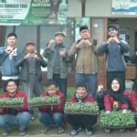 UMM Potato Seeds Kembangkan Benih Kentang Unggulan