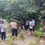 Mandi Seberangi Kedung Darmo, Pemuda Bandulan Tenggelam