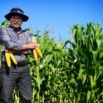 Profesor Pertanian UB Kembangkan Inovasi Jagung di NTT