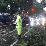 Pohon Tumbang Timpa Jalan, Babinsa Gadang Bersama Warga Bergerak Cepat