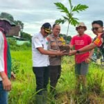 Peduli Lingkungan Babinsa Merjosari Melaksanakan Penanaman Pohon Keras