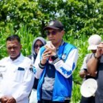 Hutan Khusus UM Jadi Pusat Penelitian, Pelestarian dan Pengabdian Masyarakat