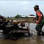 Babinsa Kedungkandang Bantu Petani Bajak Sawah