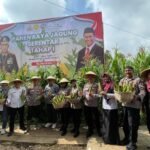 Buahkan Hasil, Panen 45,6 Ton Jagung