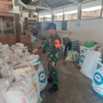 Babinsa Tunggulwulung Aktif Monitoring Proses Penggilingan Padi, Jaga Kualitas dan Distribusi