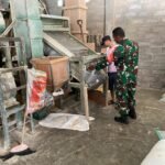 Pasca Panen Wilayah Binaan Babinsa Balearjosari Monitoring Sentra Penggilingan