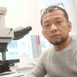 Ditemukan Spesies Baru Mikroalga, UB Identifikasi Paracatenula dan Wallaceago.