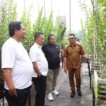 Anggrek Dendrobium Prabowo Subianto untuk Presiden RI