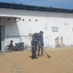 Jaga Mutu Panen, Babinsa Blimbing Aktif Dampingi Petani Gabah
