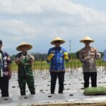 Dandim 0833 Dampingi Forkopimda Dorong Ketahanan Pangan Lewat Penyerahan Alsintan Di Wonokoyo