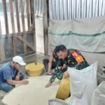 Babinsa Tunjungsekar Aktif Pantau Penggilingan Gabah, Pastikan Kestabilan Harga Pangan Lokal