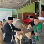 Serahkan Sapi Kurban di Hari Raya Idul Adha, Maknai Pengorbanan dan Wujud Kepedulian Sosial
