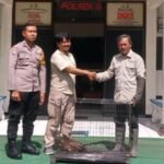 Polres Malang Serahkan Elang Ular Bido ke BBKSDA Jatim