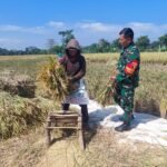 Babinsa Tunggulwulung Dampingi Petani di Wilayah Binaan