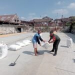 Babinsa Wonokoyo Kawal Pengeringan Padi