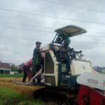 Swasembada Pangan, Babinsa Mulyorejo Dampingi Petani