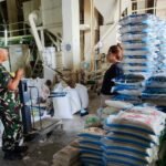 Babinsa Buring Pantau Penggilingan Padi, Pastikan Kualitas Gabah Petani