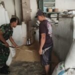 Babinsa Jodipan Pantau Penggilingan Padi, Bantu Petani Jaga Kualitas Gabah
