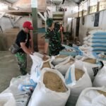 Babinsa Tunjungsekar Monitoring Penggilingan Padi UD Sember Pangan