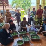 Doktor UB Terapkan Ecoenzym, MOL dan biosaka di Ngawi