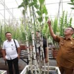 Kota Batu Gelar Pameran Anggrek Nasional Terbesar, Jadi Magnet Wisata Bunga