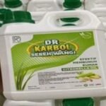 Karbol Sereh Asli Hutan Pujon: Mahasiswa UMM Berdayakan Masyarakat KHDTK Pujon Hill