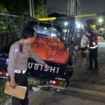 Rem Blong, Elf Tabrak Pickup Muat Wortel di Klemuk