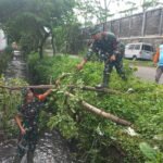 Langkah Mitigasi Bencana Koramil Blimbing bersama Warga Pembersihan Sedimen Sungai