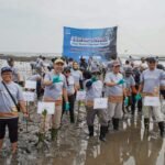 Nestlé Hijaukan Pesisir dengan Tanam 1.000 Mangrove di Jatim