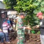 Kerja Bakti Babinsa Bersama Warga Sukoharjo Dukung Program Green House Lingkungan