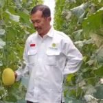 Profesor Penggerak UMM Sulap Lahan Desa di Pasuruan Jadi Sentra Smart Farming