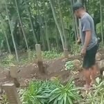 Diacak-acak, Puluhan Makam di TPU Cembo Rusak