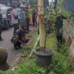 Wujudkan Lingkungan Sehat, Babinsa Blimbing Ajak Warga Kerja Bakti