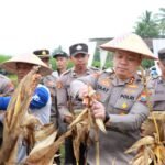 Polres Malang Panen Raya Jagung, Hasilkan 8 Ton untuk Stok Pangan