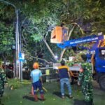 Babinsa Sawojajar Sigap Dampingi Evakuasi Ranting Pohon Tersangkut Kabel Listrik