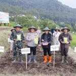 Tanam Jagung Serentak, Kota Batu Dukung Ketahanan Pangan