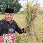 Momentum Satu Tahun Malang Makmur Berkelanjutan, Transformasi Kabupaten Malang
