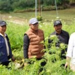 Pulihkan Apel Batu, Kembangkan Integrated Farming