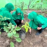 Persit Kodim 0833 Kota Malang Gelar Penanaman Pohon Serentak di Blimbing