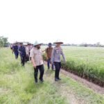 Jaga Predikat Menara Air, Pemkot Batu Perketat Izin Alih Fungsi Lahan