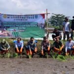 Waspada Sawah Beton! Wali Kota Malang Ancam Cabut Izin Bangunan di Lahan Produktif