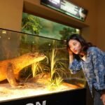 Museum Satwa Kota Batu: Eduwisata Kelas Dunia, Hadirkan Satu-satunya Spesimen Beruang Kutub di Indon...