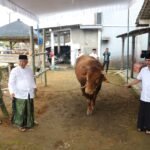 Siasat Sanusi – Lathifah Berbagi Tugas di Ujung Barat Saat IdulAdha