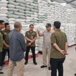 Padi Melimpah Ruah: Siasat Bulog Malang Sapu Bersih Sisa Pasar dan Tantangan Naik Kelas
