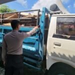 Angkut Kayu Jati Ilegal di Sumbermanjing Wetan, Kakek 60 Tahun Diringkus Polres Malang