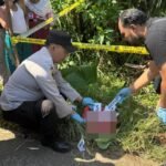 Merah Plastik, Putih Kainnya: Nestapa Bayi Tak Berdosa di Pinggir Jalan Bocek